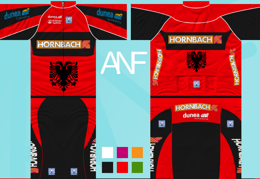 Main Shirt for Team Hornbach