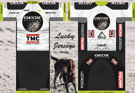 Main Shirt for Team Geox-TMC