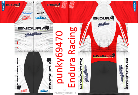 Main Shirt for Endura Racing