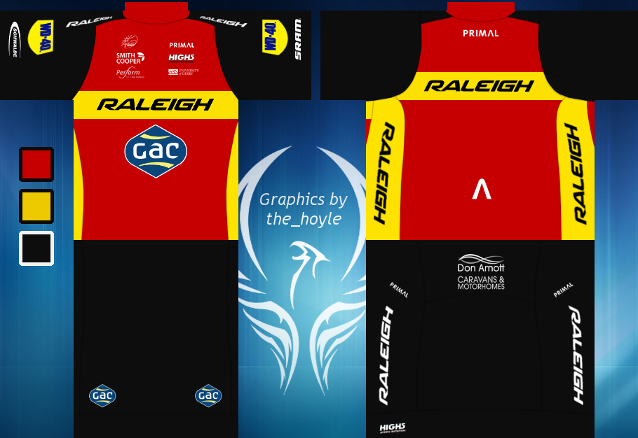 Main Shirt for Team Raleigh