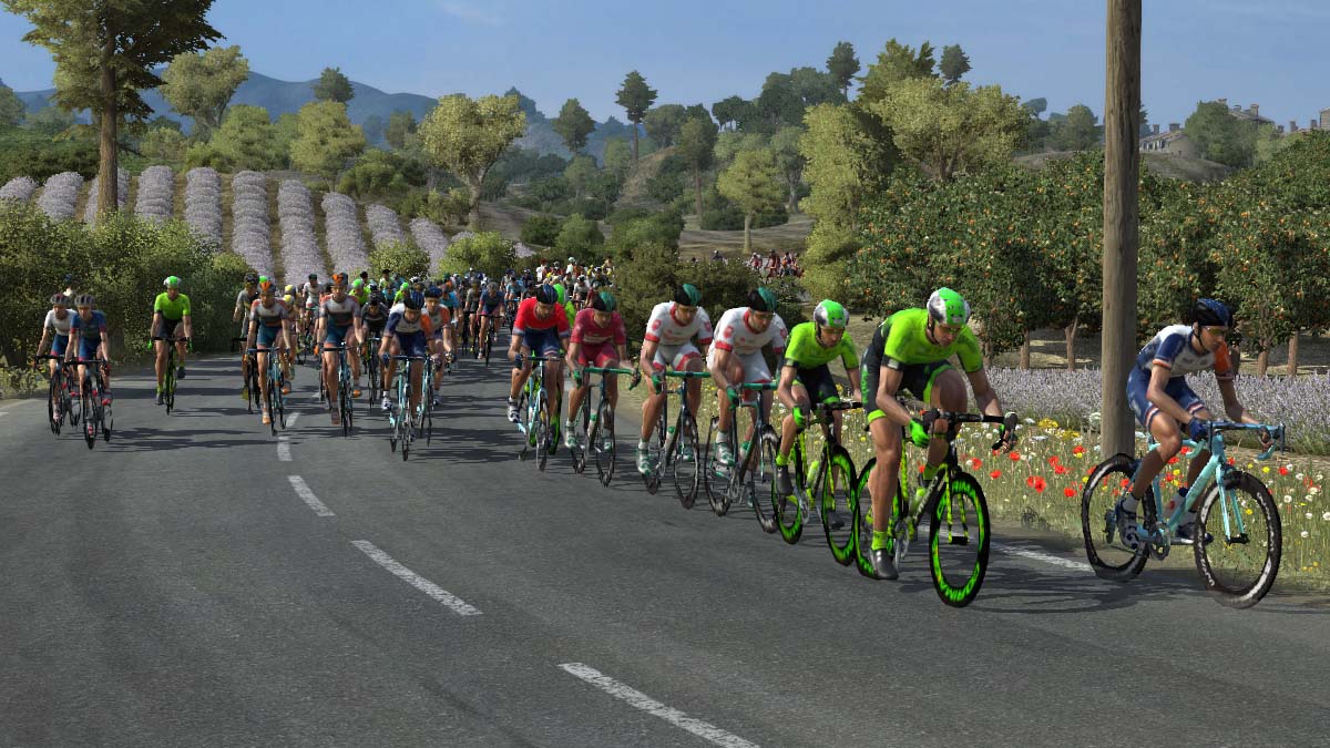 pcmdaily.com/images/mg/2019/Races/GTM/Vuelta/S4/10.jpg