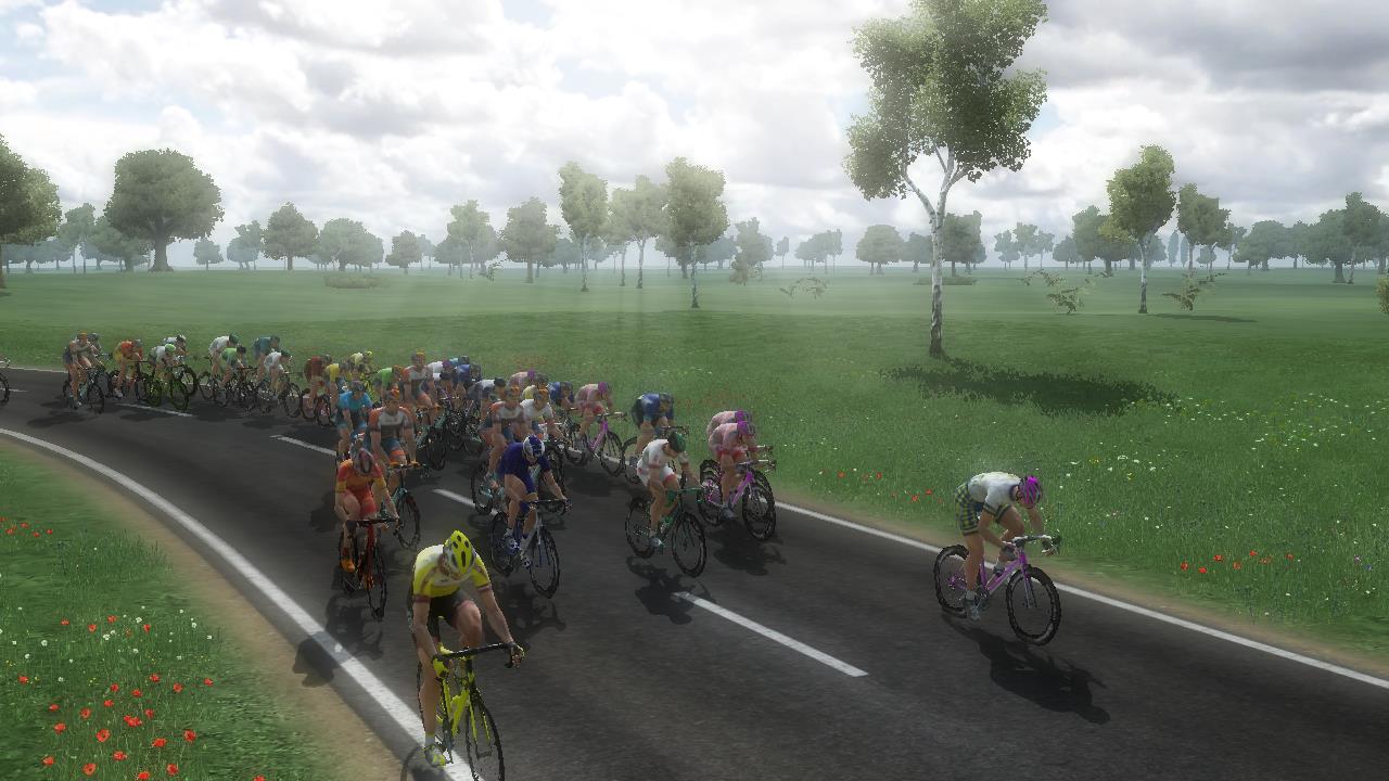 pcmdaily.com/images/mg/2019/Races/PT/Nederland/S2/14.jpg