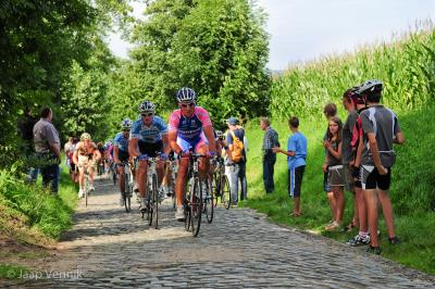 The pack on the Oude Kwaremont climb