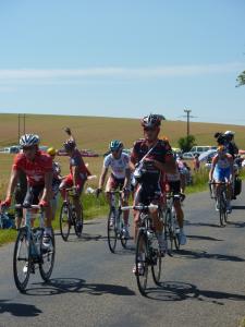 TdF stage 4 - peloton