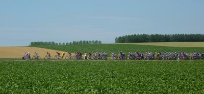 TDF stage 4 - Peloton