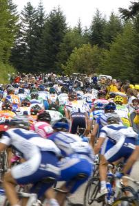 [TDF2005] The pack close up.