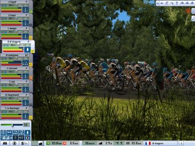 Peloton in the forest 2