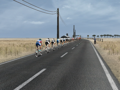 Peloton in single line in Qatar