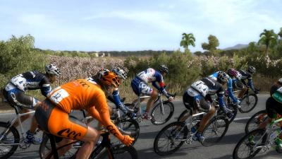 Peloton in the fields