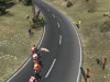 Animals on the road